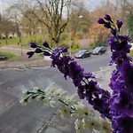 Elena Flat Orchidee Zentrum * Duisburg