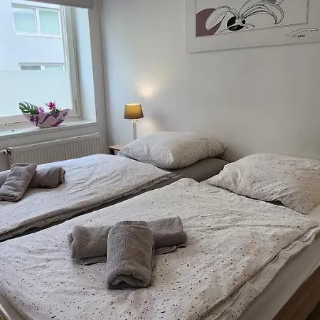 Elena Flat Orchidee Zentrum * Duisburg