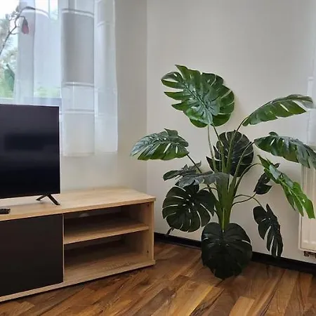 Elena Flat Orchidee Zentrum Apartment