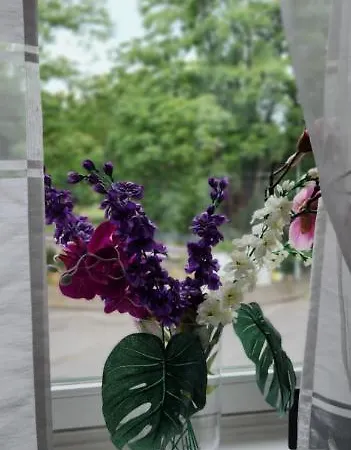 Elena Flat Orchidee Zentrum Apartment