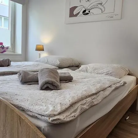 Elena Flat Orchidee Zentrum Duisburg