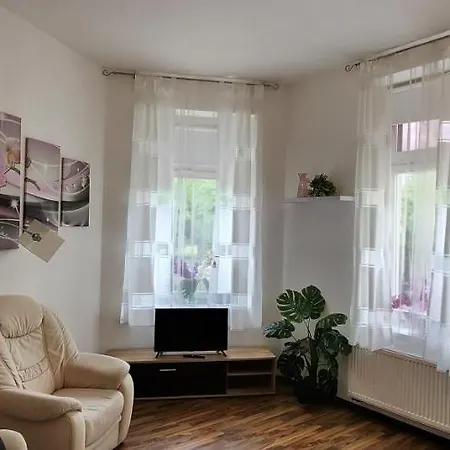 Elena Flat Orchidee Zentrum * Duisburg