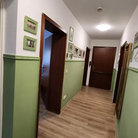 Apartment Elena Flat Orchidee Zentrum