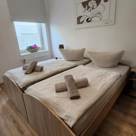 Elena Flat Orchidee Zentrum *