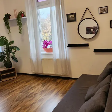 Elena Flat Orchidee Zentrum Duisburg