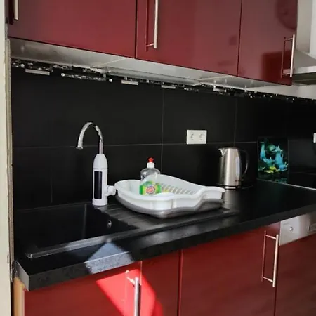 Elena Flat Orchidee Zentrum Duisburg