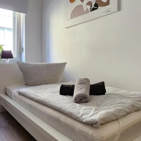 Elena Flat Orchidee Zentrum Duisburg