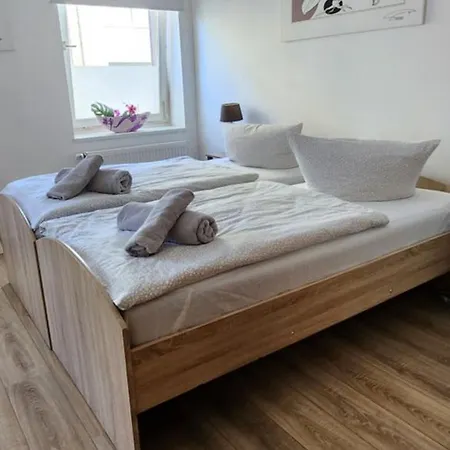 Elena Flat Orchidee Zentrum Duisburg