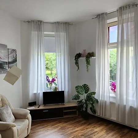Elena Flat Orchidee Zentrum *
