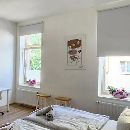 Elena Flat Orchidee Zentrum