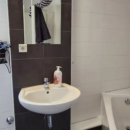 Elena Flat Orchidee Zentrum *