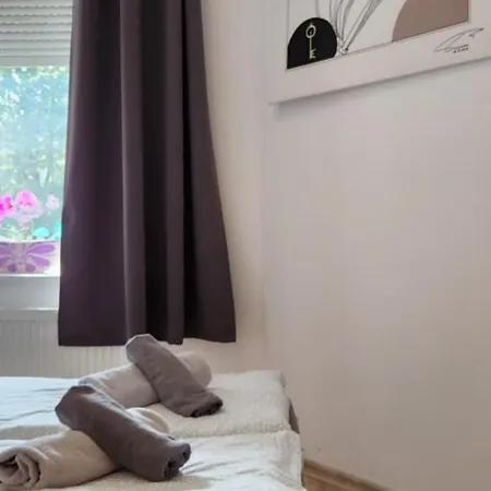 Elena Flat Orchidee Zentrum * Duisburg