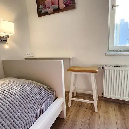 Elena Flat Orchidee Zentrum