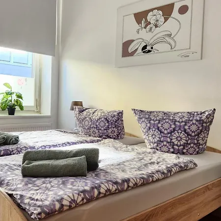 Elena Flat Orchidee Zentrum