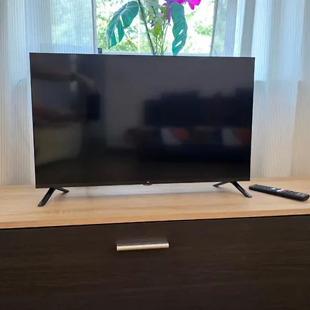 Elena Flat Orchidee Zentrum Duisburg