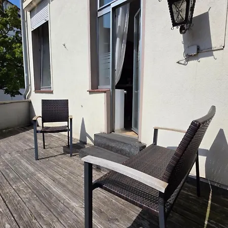 Elena Flat Orchidee Zentrum