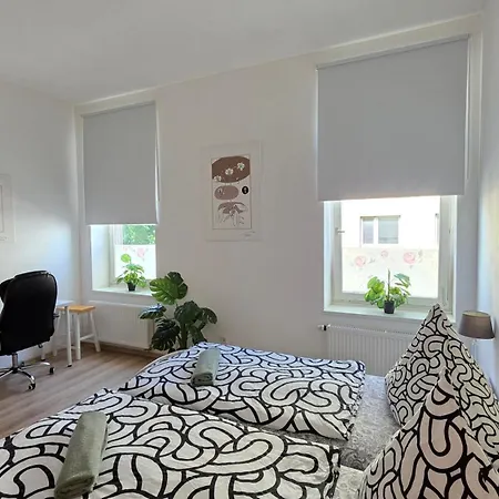 Elena Flat Orchidee Zentrum *