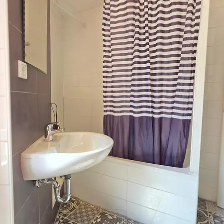 Elena Flat Orchidee Zentrum Duisburg