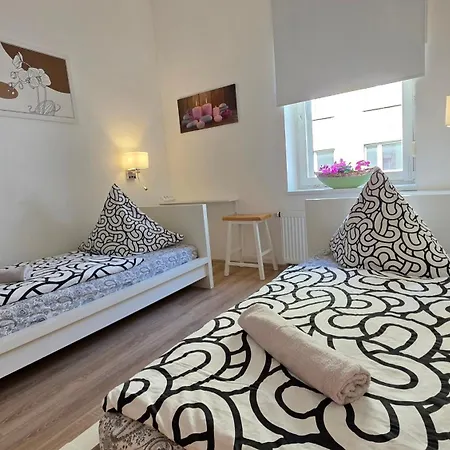 Elena Flat Orchidee Zentrum