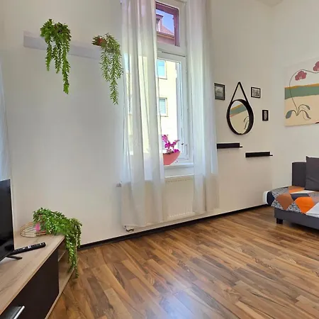 Elena Flat Orchidee Zentrum *