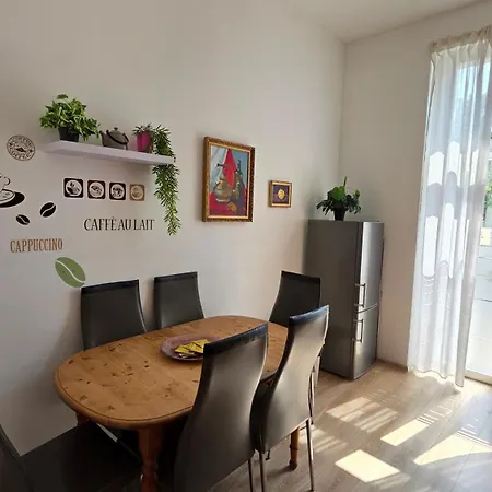 Elena Flat Orchidee Zentrum