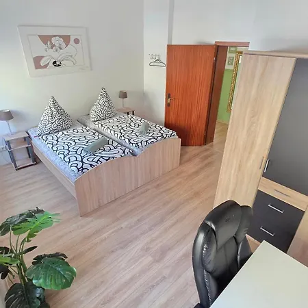 Elena Flat Orchidee Zentrum *