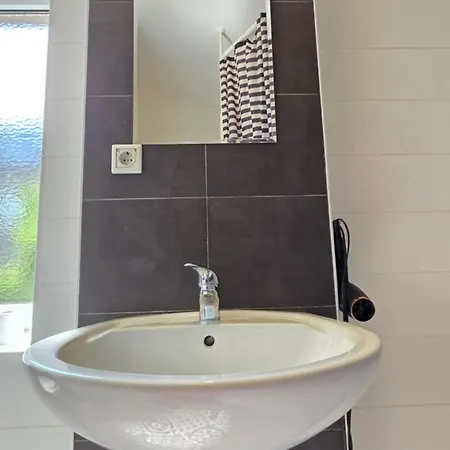 Elena Flat Orchidee Zentrum *