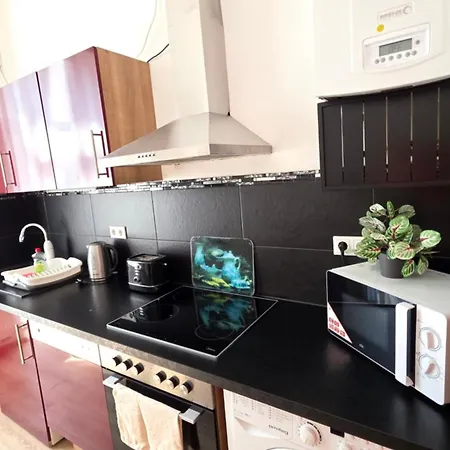 Elena Flat Orchidee Zentrum