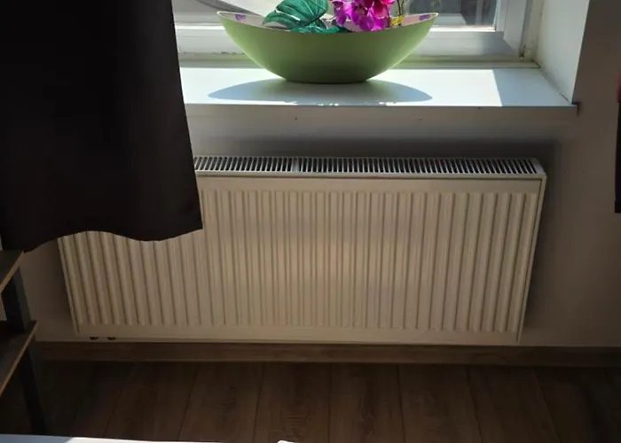 Elena Flat Orchidee Zentrum Apartman