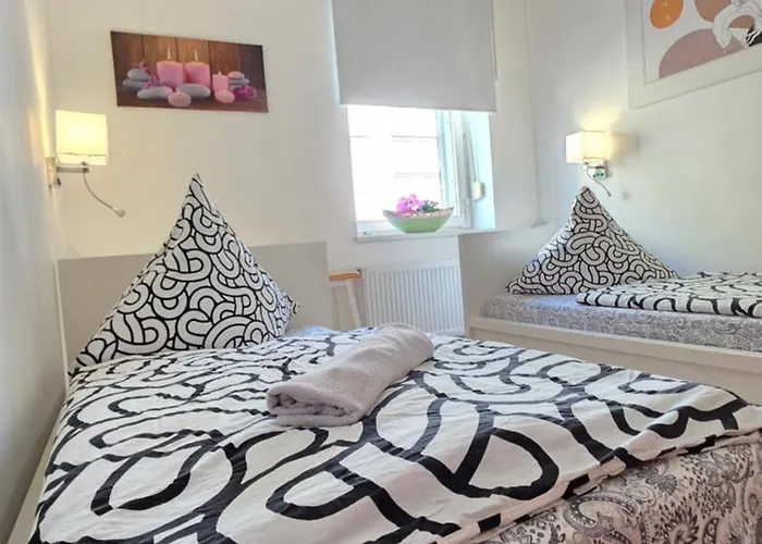 Elena Flat Orchidee Zentrum